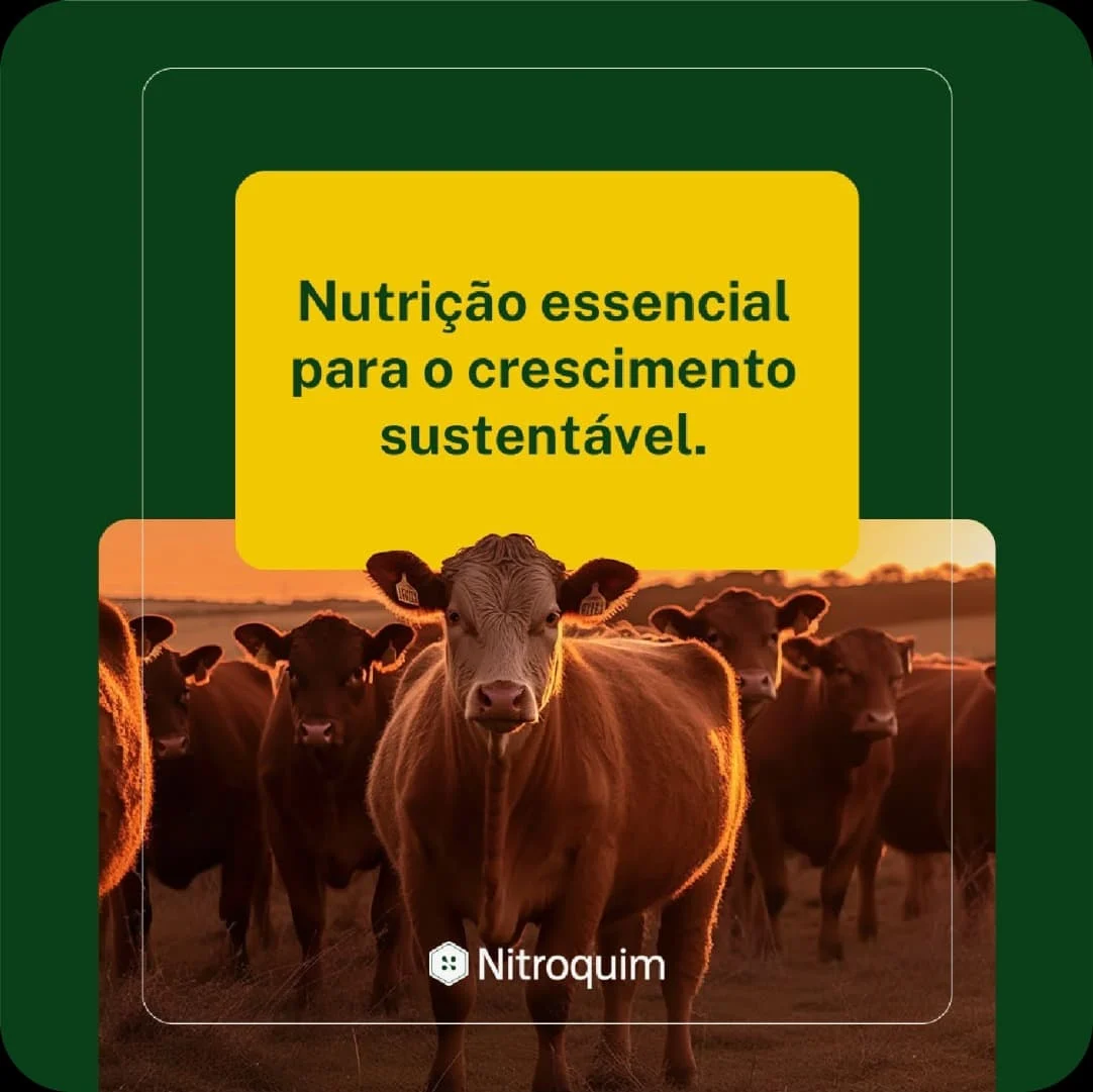 Nitroquim — nutrição essencial para o crescimento sustentável